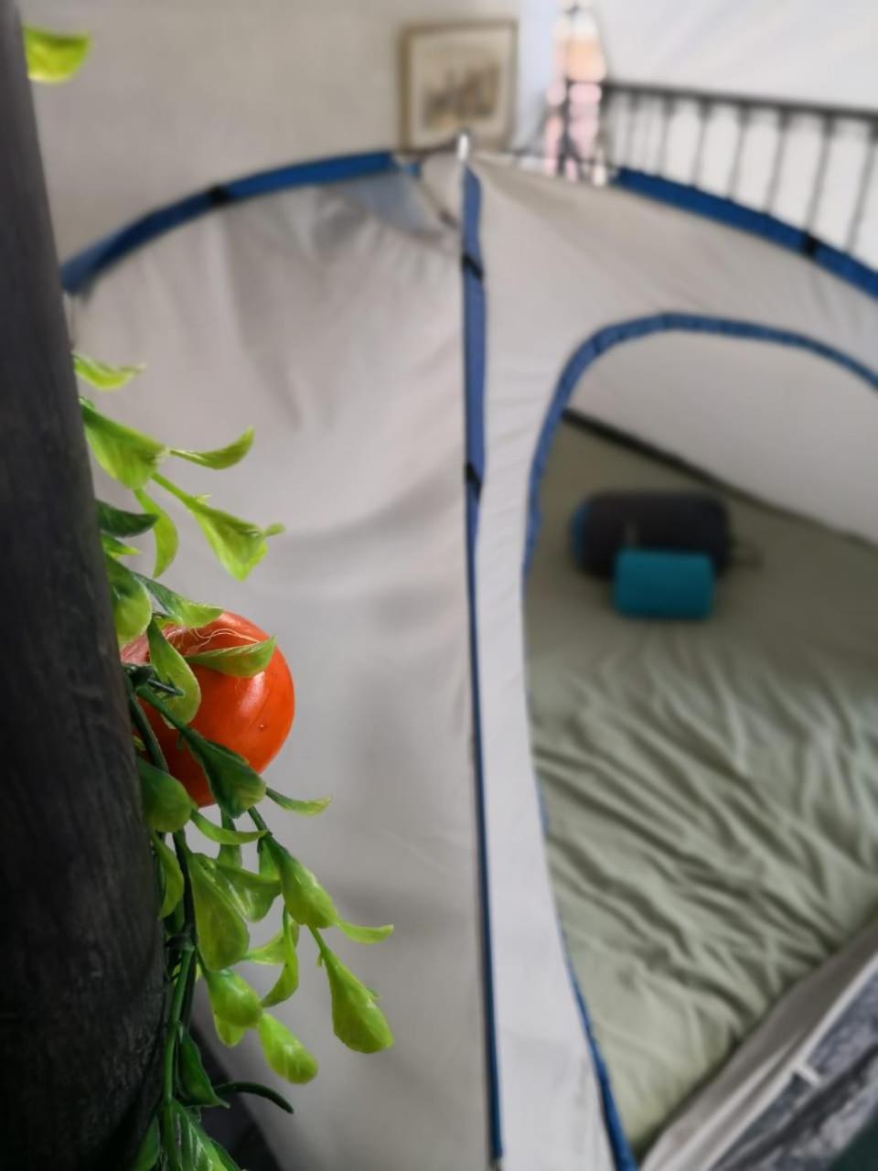 Camping&Travel Antigua Eksteriør bilde